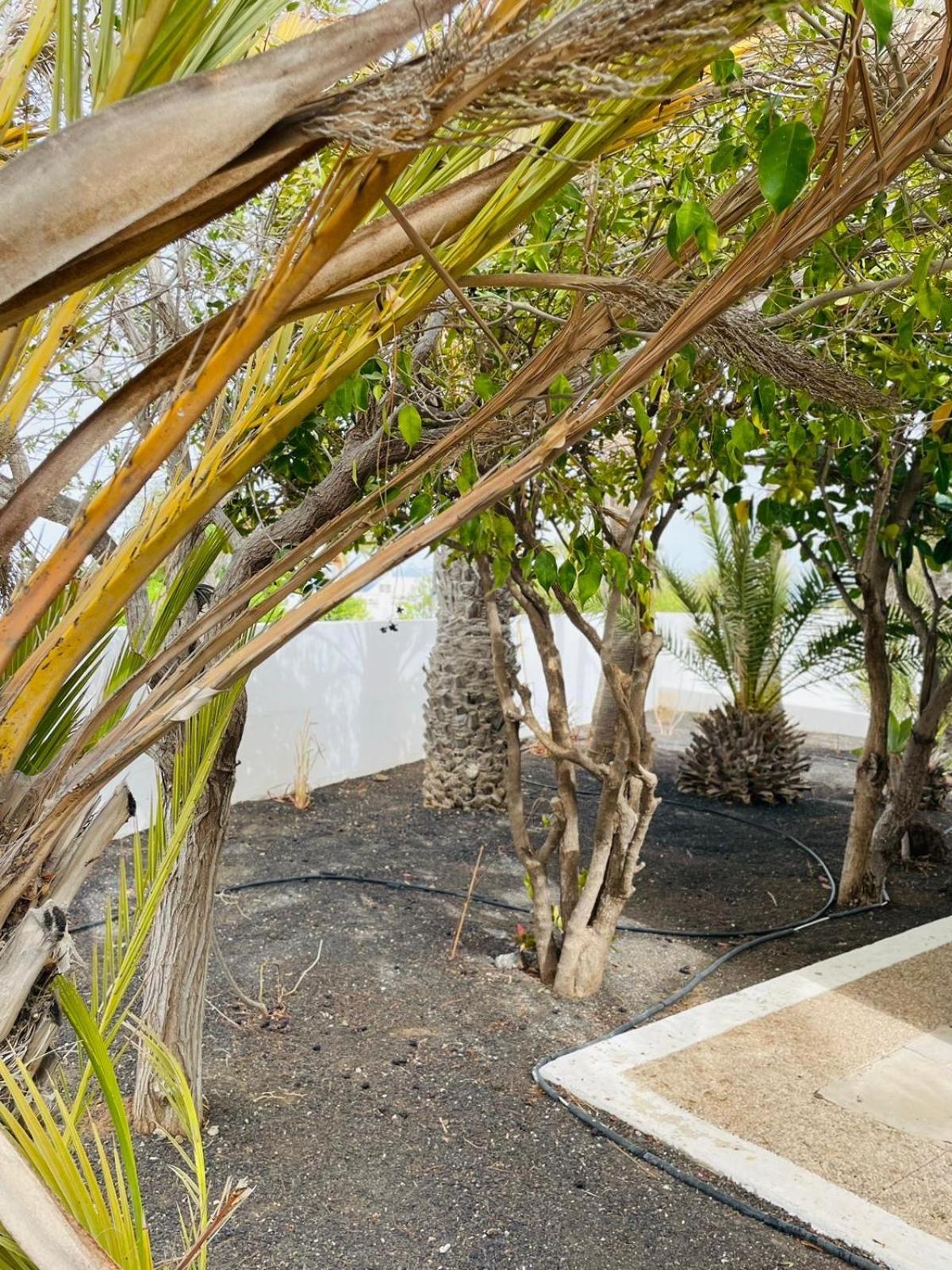 Villa Rosa ปูแอร์โตเดลคาร์เมน ภายนอก รูปภาพ